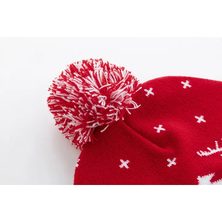 Christmas winter hat - AP800221 (ANDA#05)
